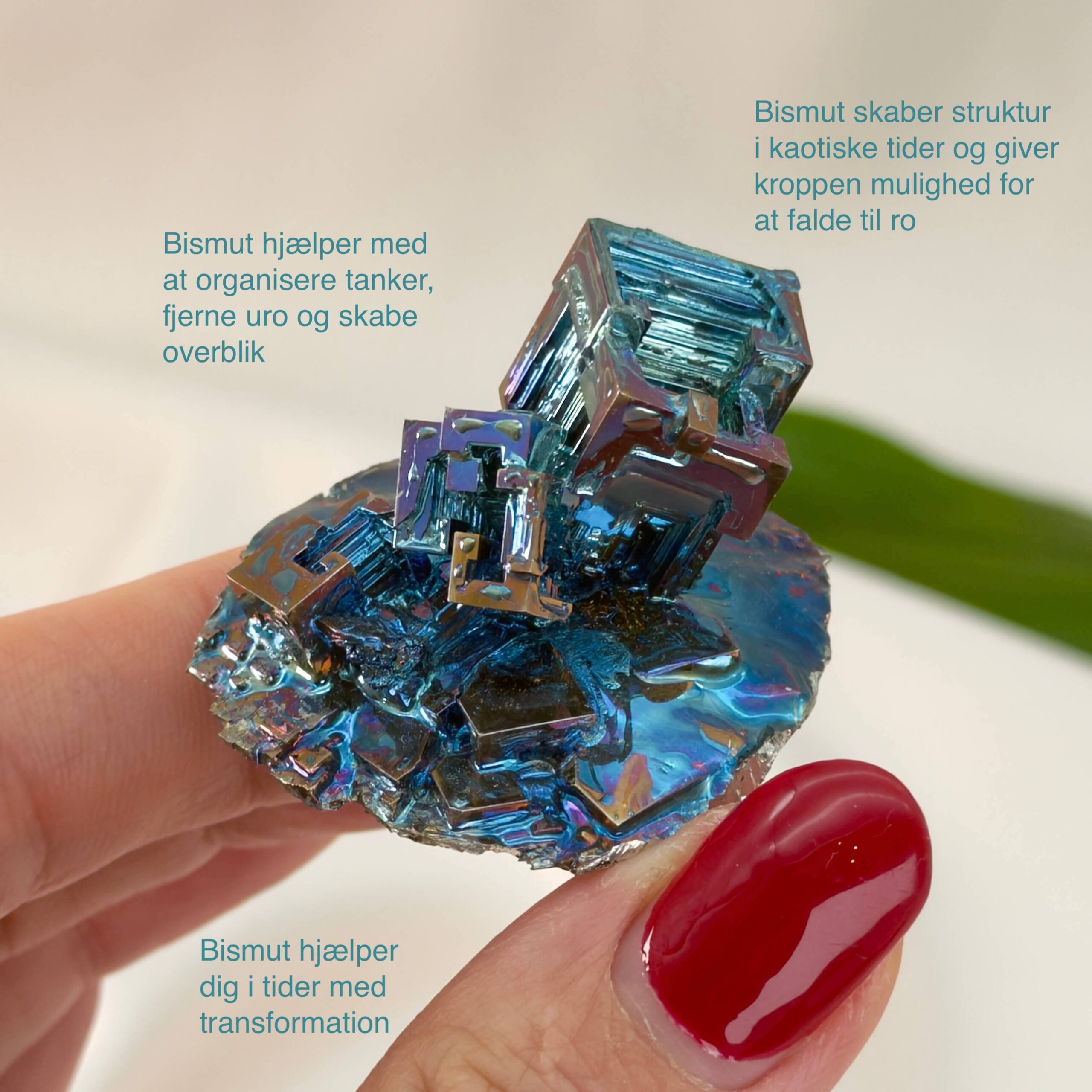 Bismut Rå Krystal Sten i hånd på hvid baggrund med tags