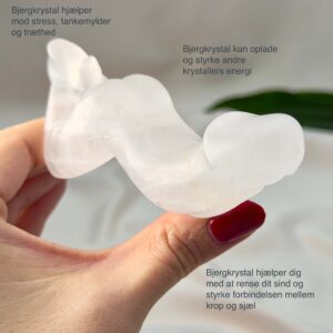 Bjergkrystal Penis Krystal Sten på hvid baggrund i hånd med tags