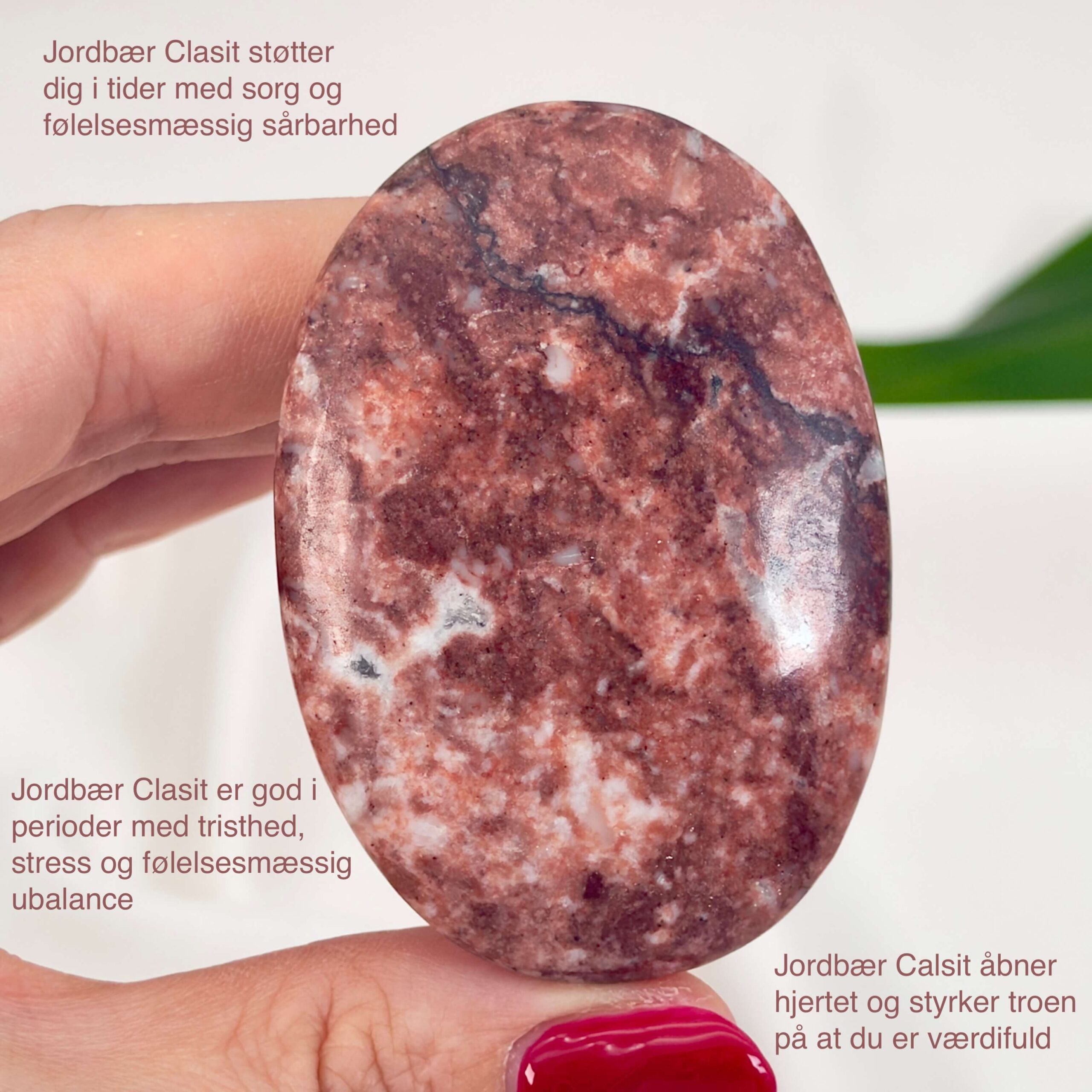 Jordbær Calsit Håndsten Krystal Sten i hånd på hvid baggrund med tags