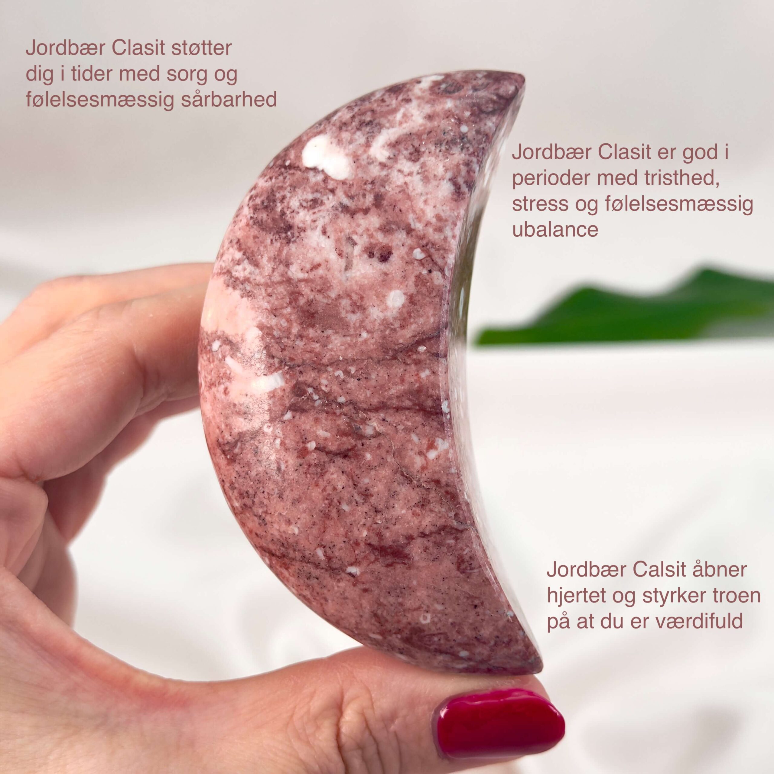 Jordbær Calsit Måne Krystal Sten i hånd på hvid baggrund med tags