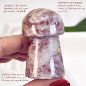 Jordbær Calsit Svamp Krystal Sten i hånd på hvid baggrund med tags