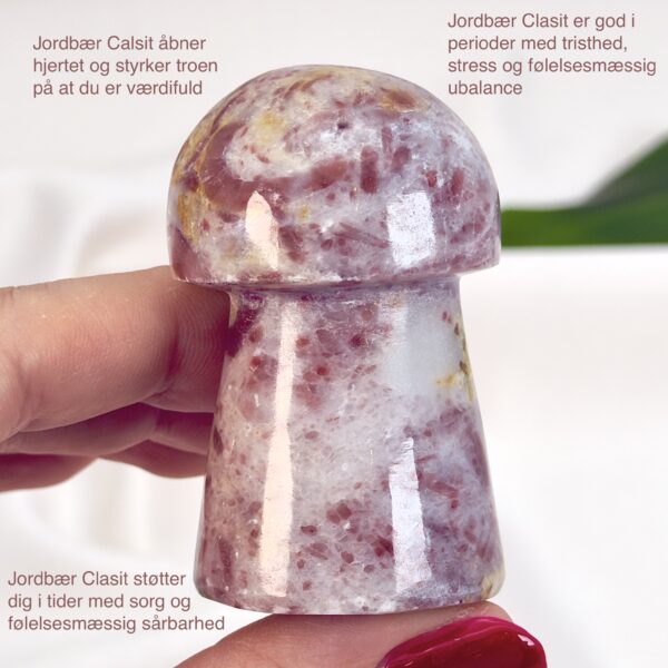 Jordbær Calsit Svamp Krystal Sten i hånd på hvid baggrund med tags