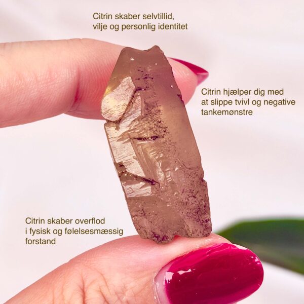 Citrin rå lommesten krystal sten i hånd på hvid baggrund med tags