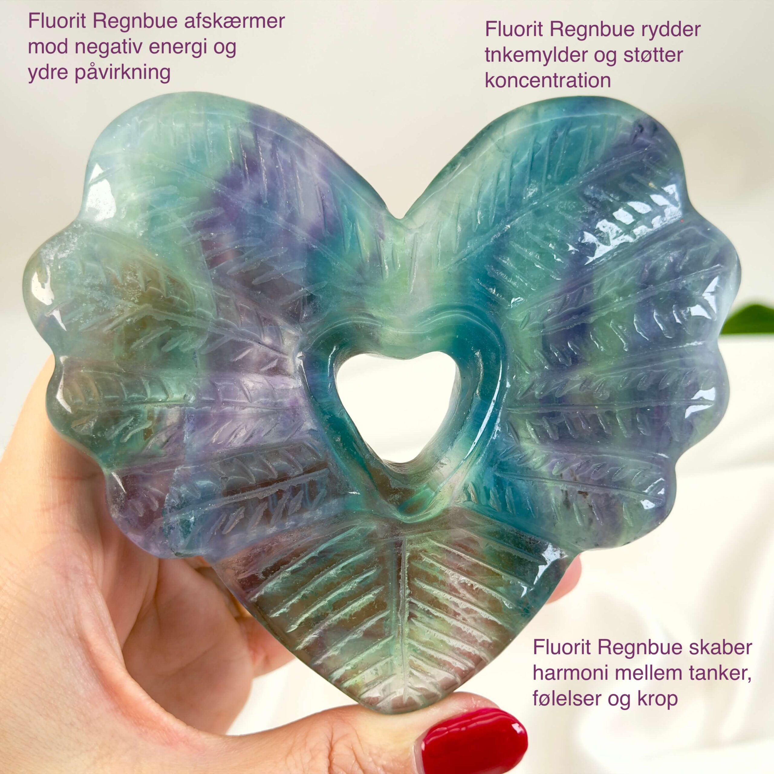 Fluorit Regnbue Hjerte Krystal Sten med hånd på hvid baggrund med tags
