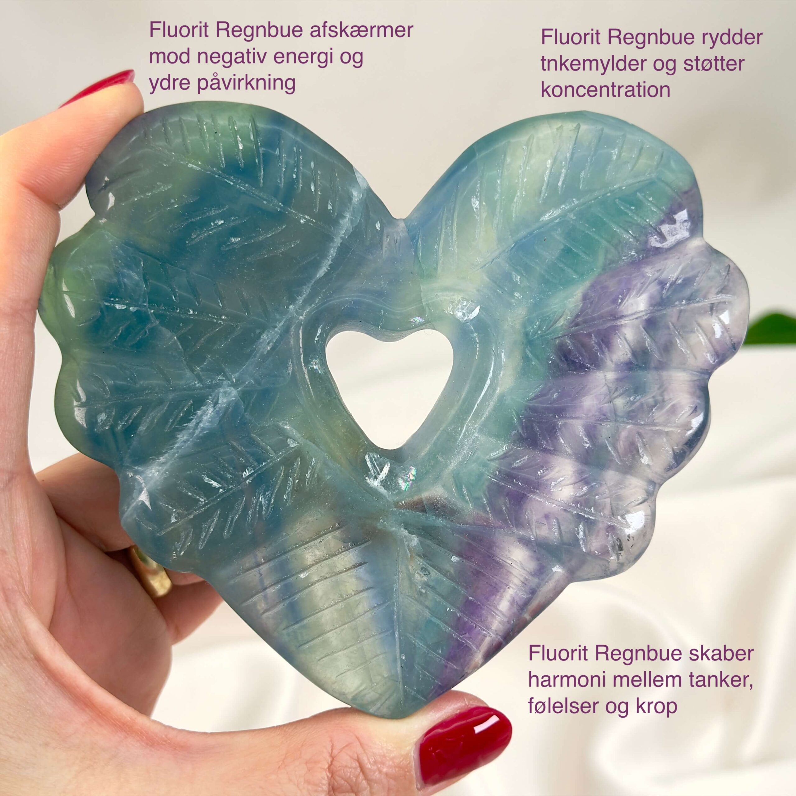 Fluorit Regnbue Hjerte Krystal Sten med hånd på hvid baggrund med tags