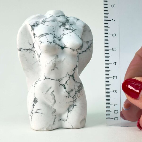 Howlit Kvindekrop Krystal sten på hvid baggrund med lineal
