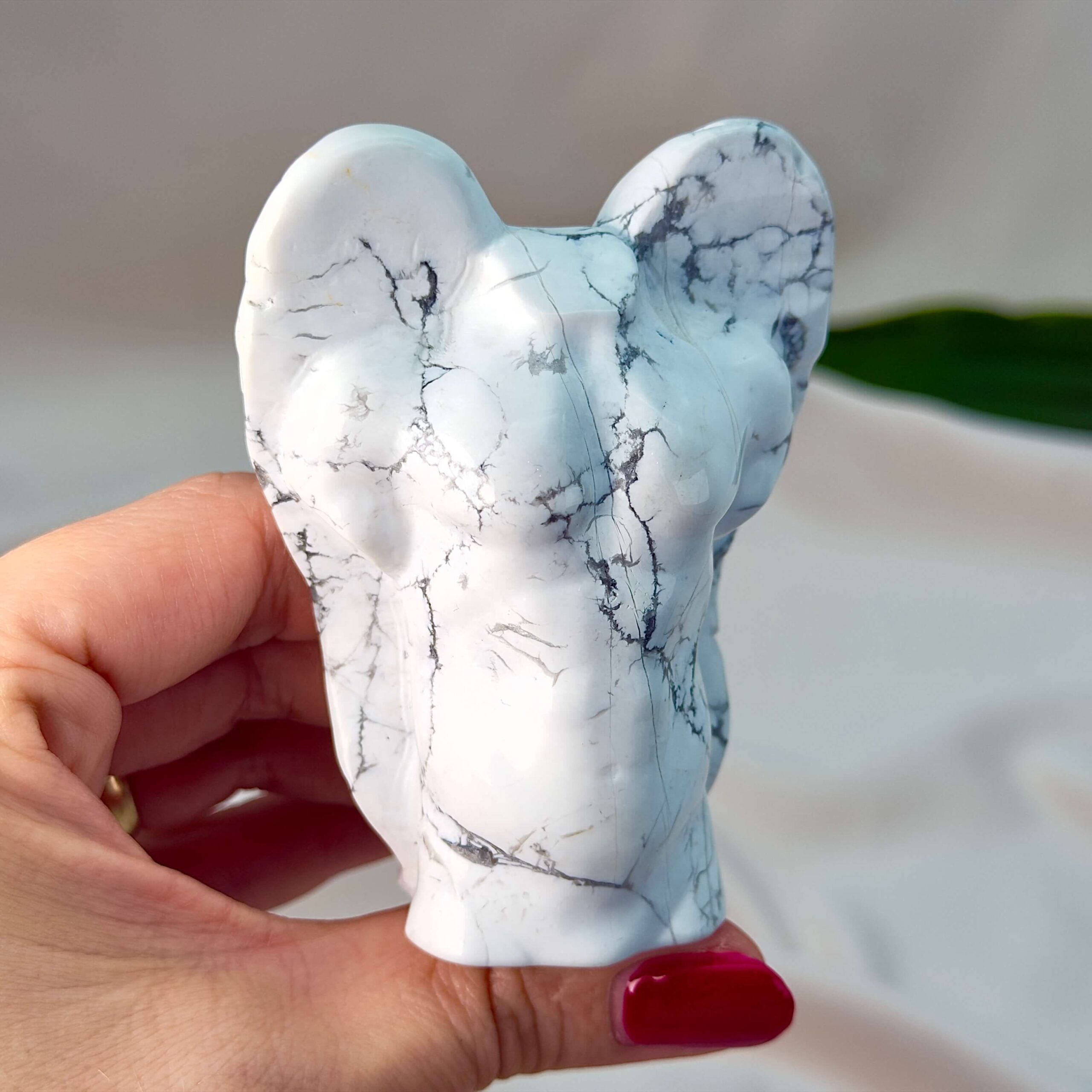 Howlit Mandekrop Krystal sten på hvid baggrund i hånd