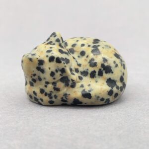 Sten krystal kat 4 cm jaspis dalmatiner på grå baggrund