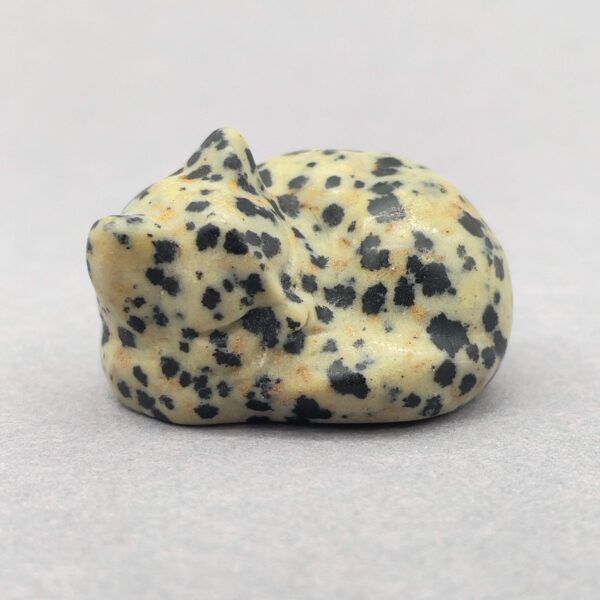 Sten krystal kat 4 cm jaspis dalmatiner på grå baggrund