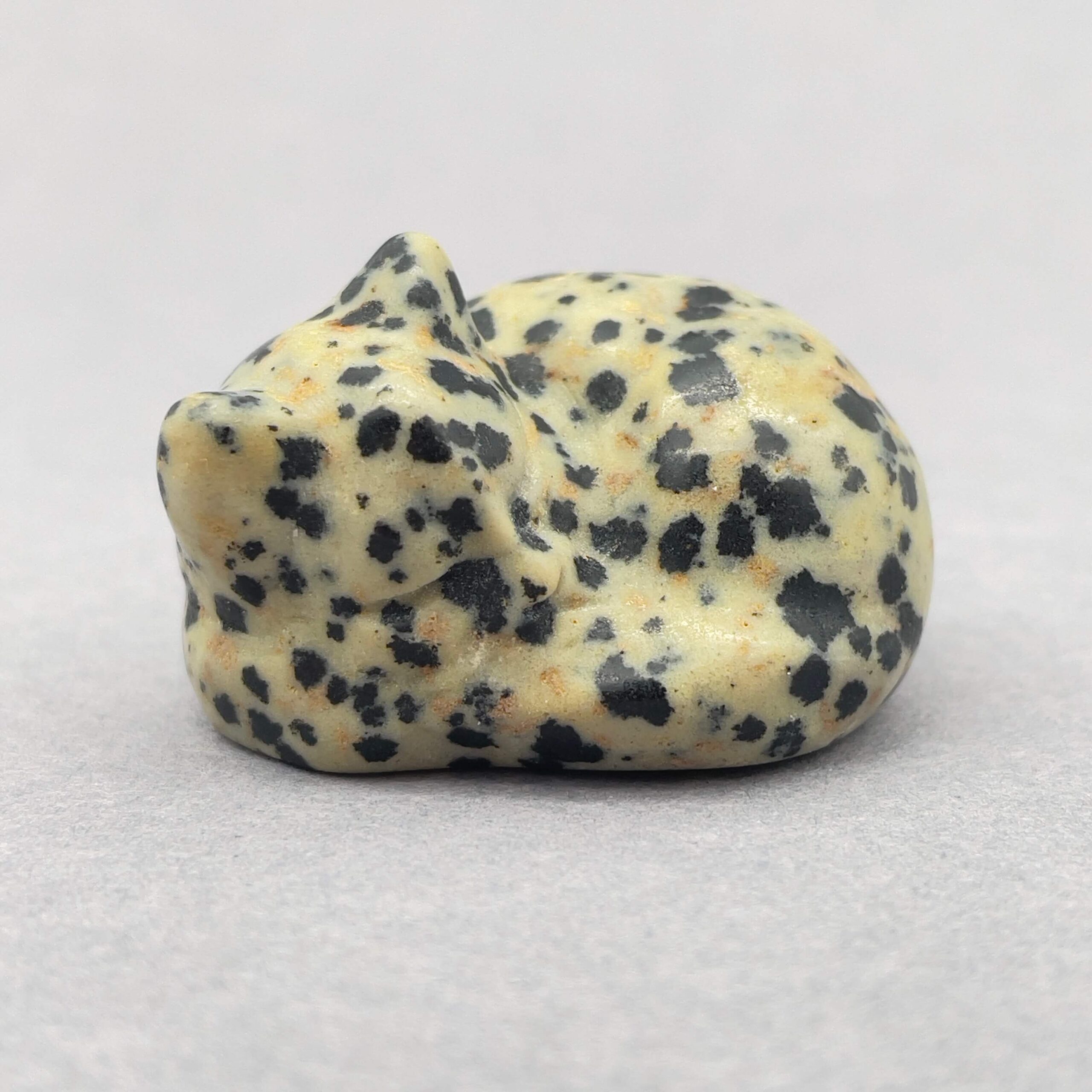 Sten krystal kat 4 cm jaspis dalmatiner på grå baggrund