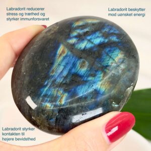 Labradorit håndsten Krystal Sten I hånd på hvid baggrund med tags