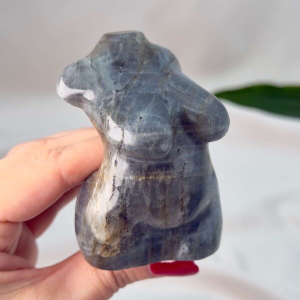 Labradorit Kvindekrop krystal sten på hvid baggrund i hånd