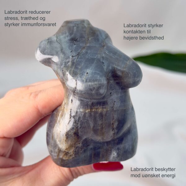 Labradorit Kvindekrop krystal sten på hvid baggrund i hånd med tags