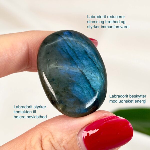 Labradorit premium Lommesten Krystal Sten I hånd på hvid baggrund med tags