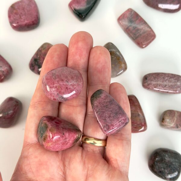 Rhodonit lommesten krystal sten i hånd på hvid baggrund