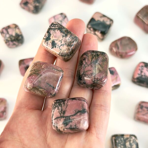 Rhodonit polerede sten krystal sten samling på hvid baggrund