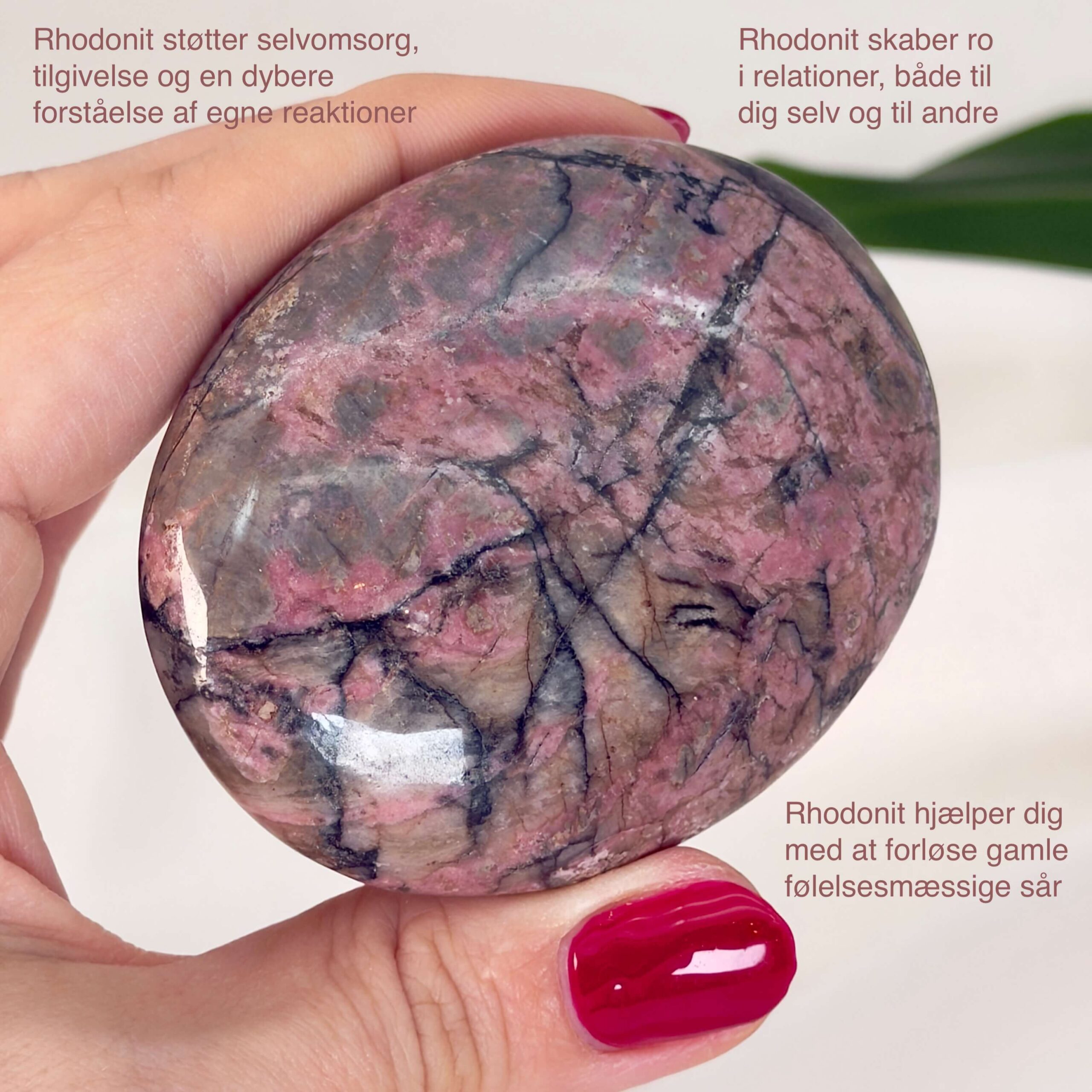 Rhodonit håndsten krystal sten i hånd med hvid baggrund og med tags