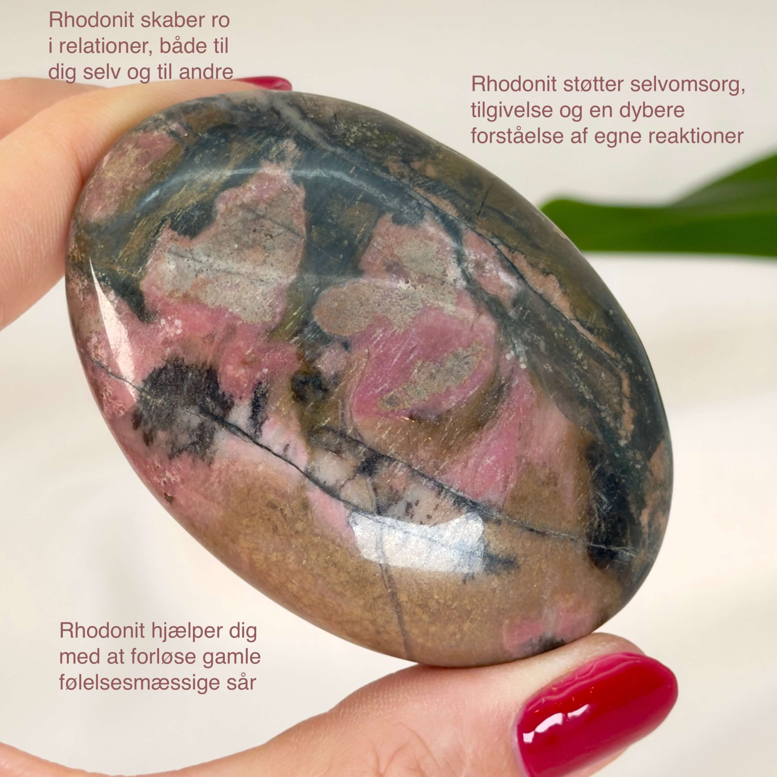 Rhodonit håndsten krystal sten i hånd med hvid baggrund og med tags
