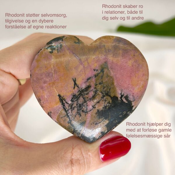 Rhodonit hjerte krystal sten i hånd med hvid baggrund og med tags