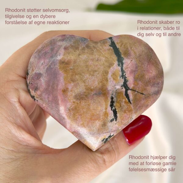 Rhodonit hjerte krystal sten i hånd med hvid baggrund og med tags