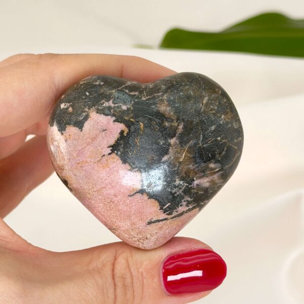 Rhodonit hjerte krystal sten i hånd med hvid baggrund