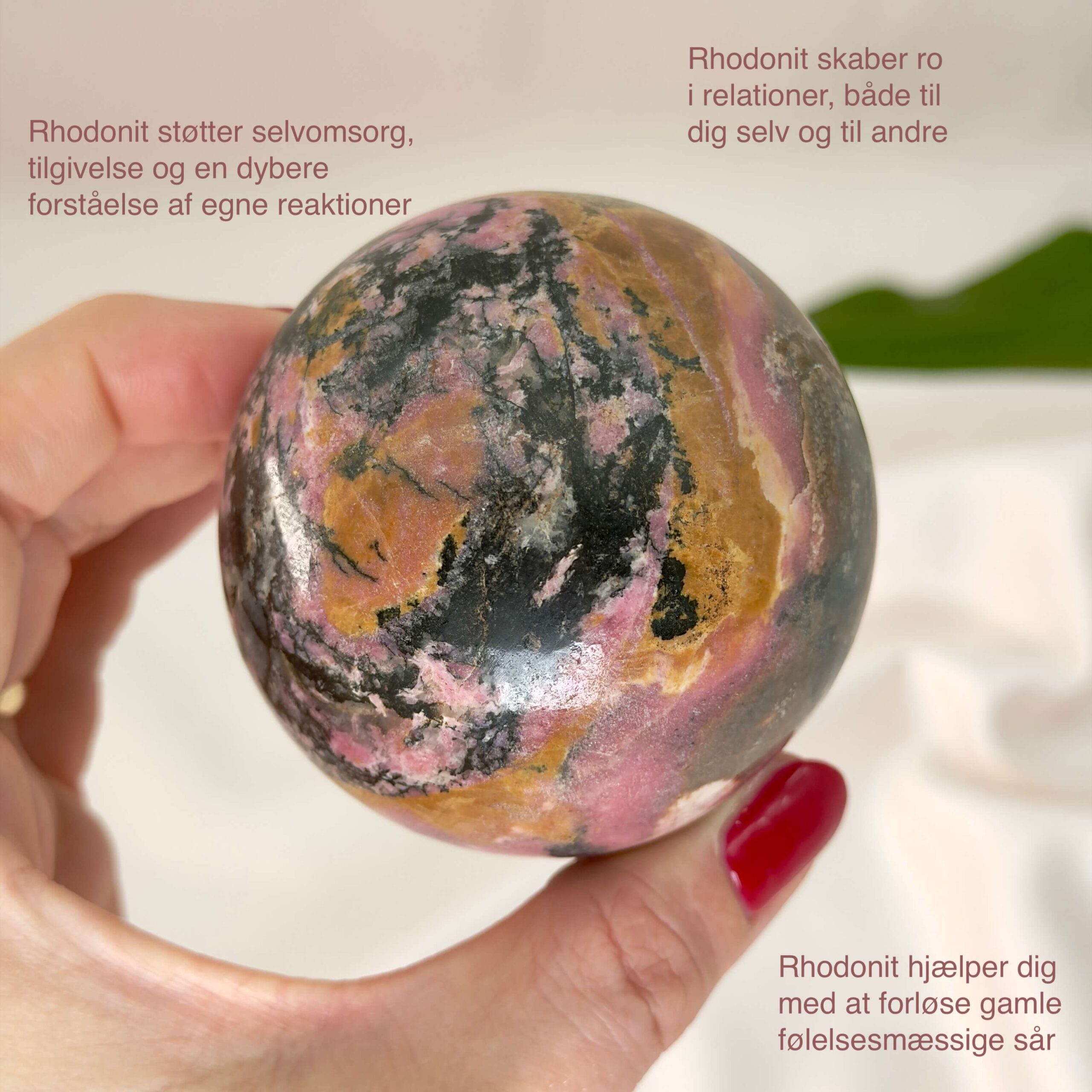 Rhodonit kugle krystal sten i hånd med hvid baggrund og med tags