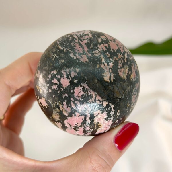 Rhodonit kugle krystal sten i hånd med hvid baggrund