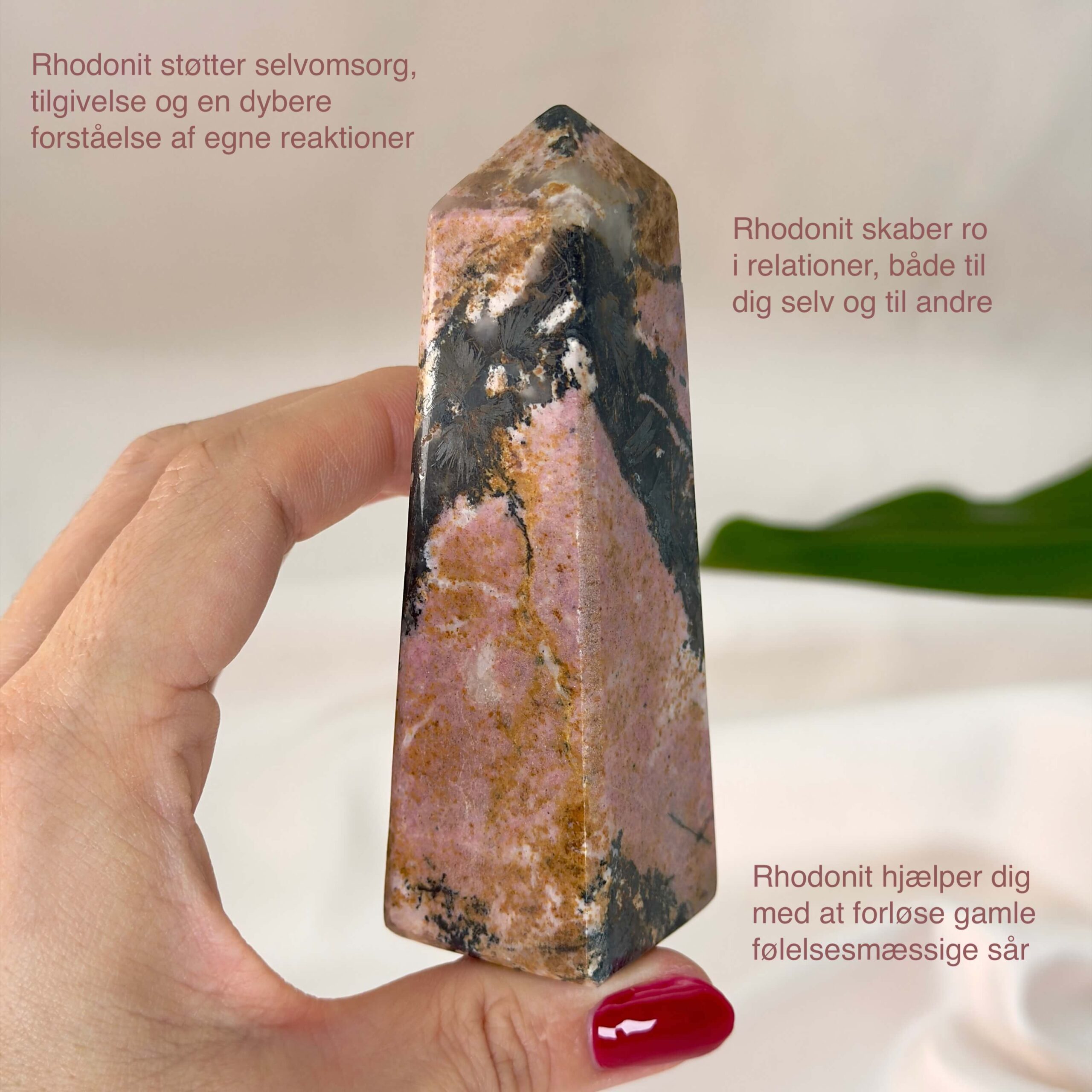 Rhodonit tårn krystal sten i hånd med hvid baggrund og med tags