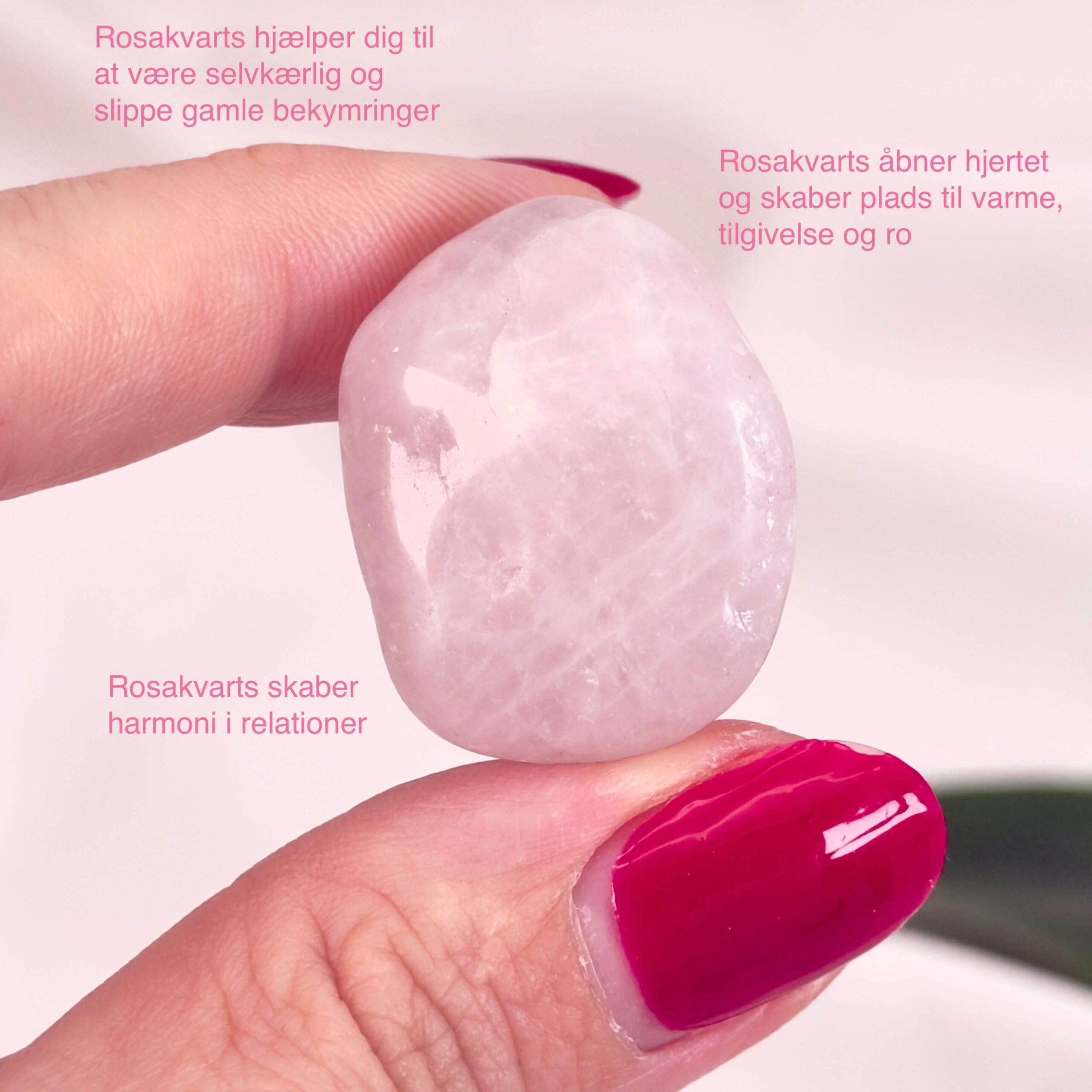 Rosakvarts lommesten Krystal Sten I hånd på hvid baggrund med tags