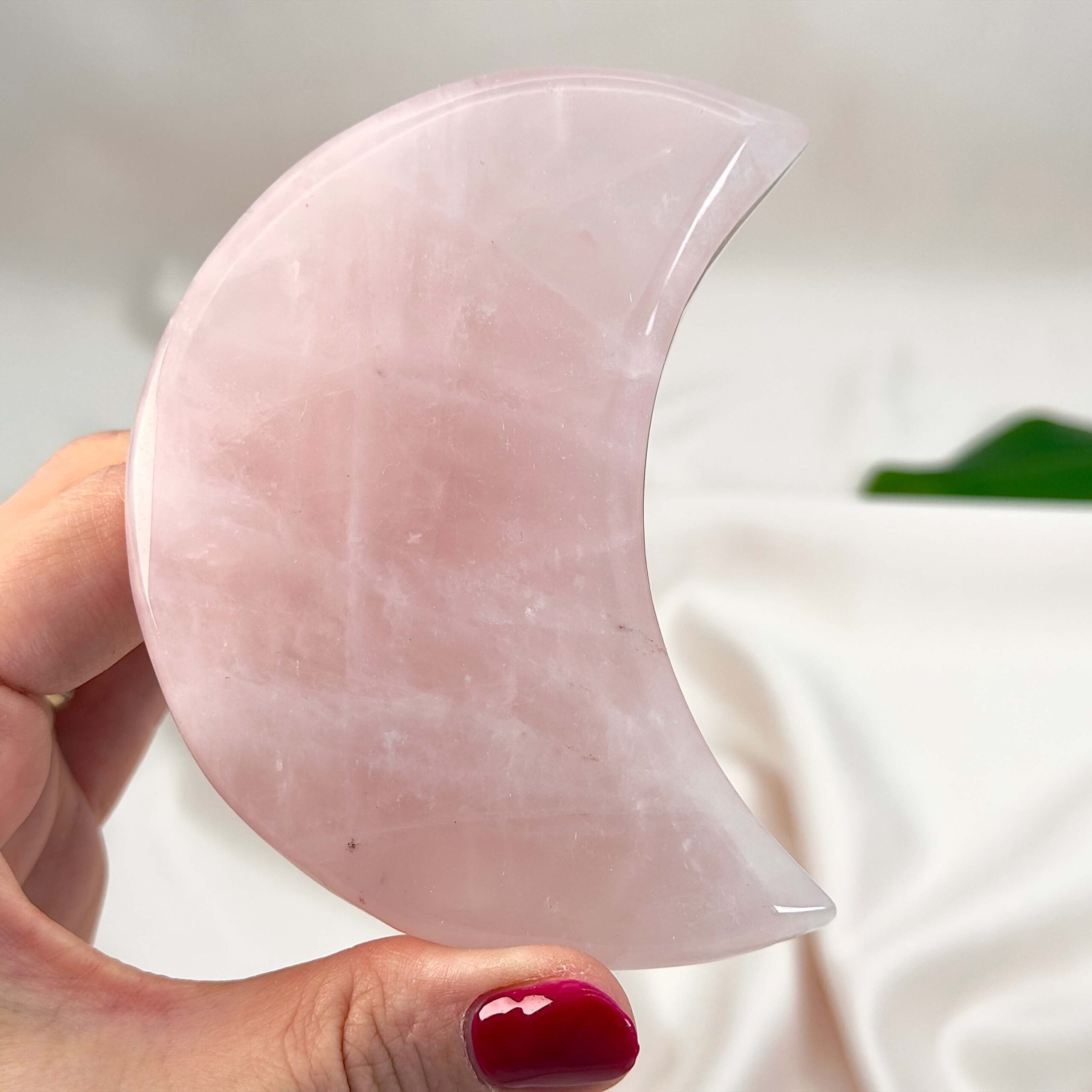 Rosakvarts Måne krystal sten i hånd på hvid baggrund