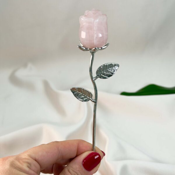 Rosakvarts Rose med sølvfarvet stilk krystal sten i hånd