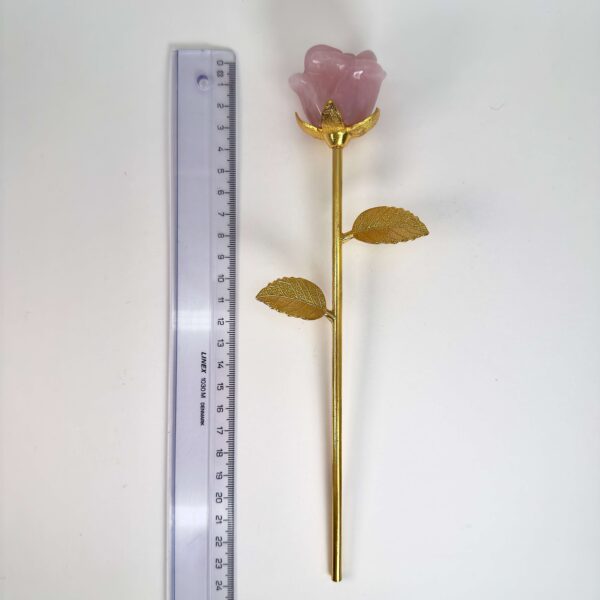 Stor rosakvarts Rose med Guldfarvet stilk krystal sten ved siden af lineal