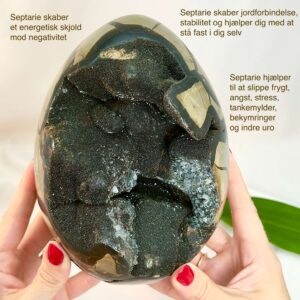 Septarie Drageæg Krystal Sten I hånd på hvid baggrund med tags