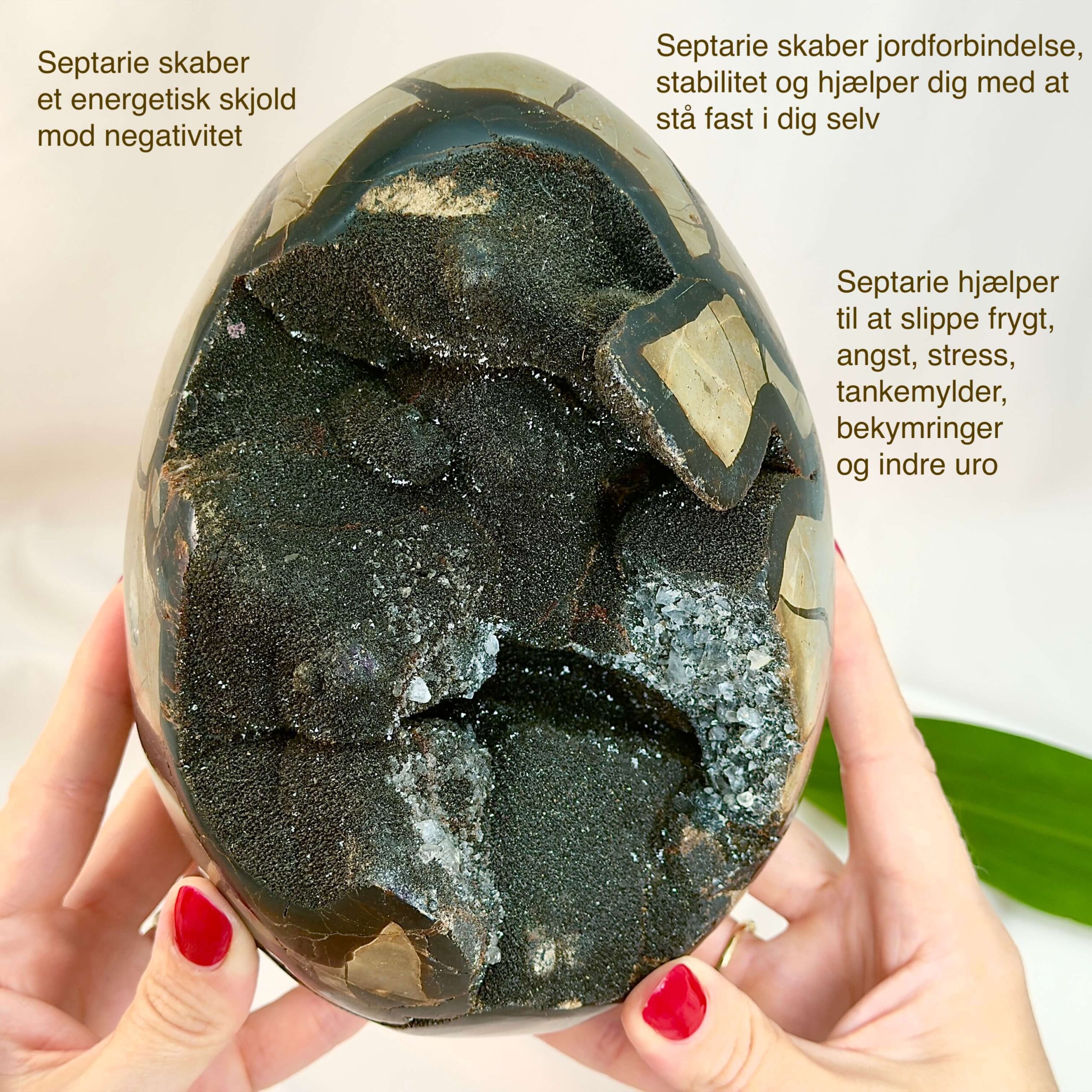 Septarie Drageæg Krystal Sten I hånd på hvid baggrund med tags