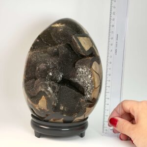 Septarie Drageæg Krystal Sten I hånd på hvid baggrund med lineal