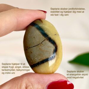 Septarie Håndsten Krystal Sten I hånd på hvid baggrund med tags