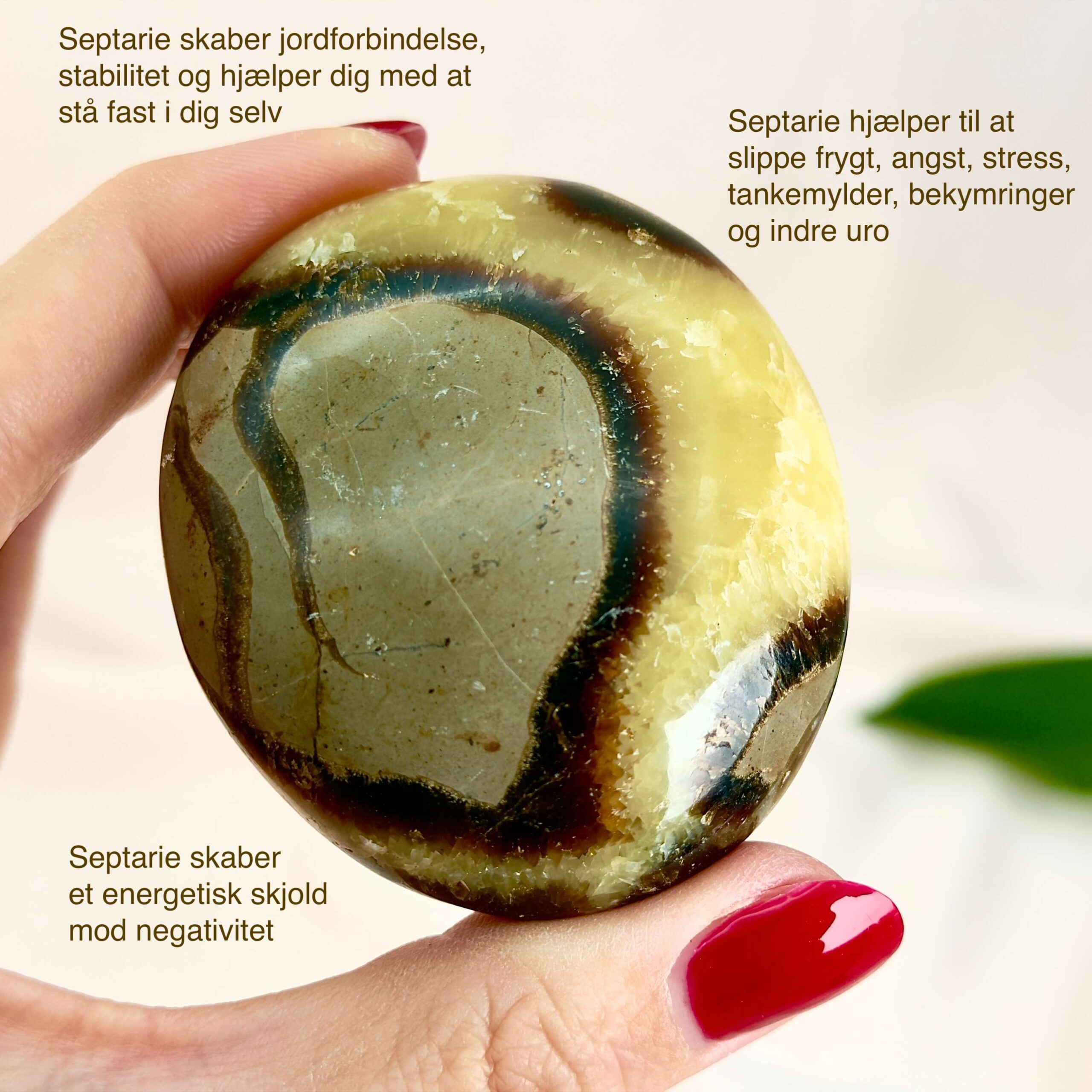 Septarie Håndsten Krystal Sten I hånd på hvid baggrund med tags