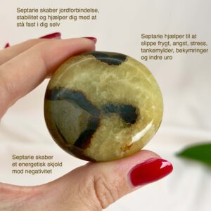 Septarie Håndsten Krystal Sten I hånd på hvid baggrund med tags