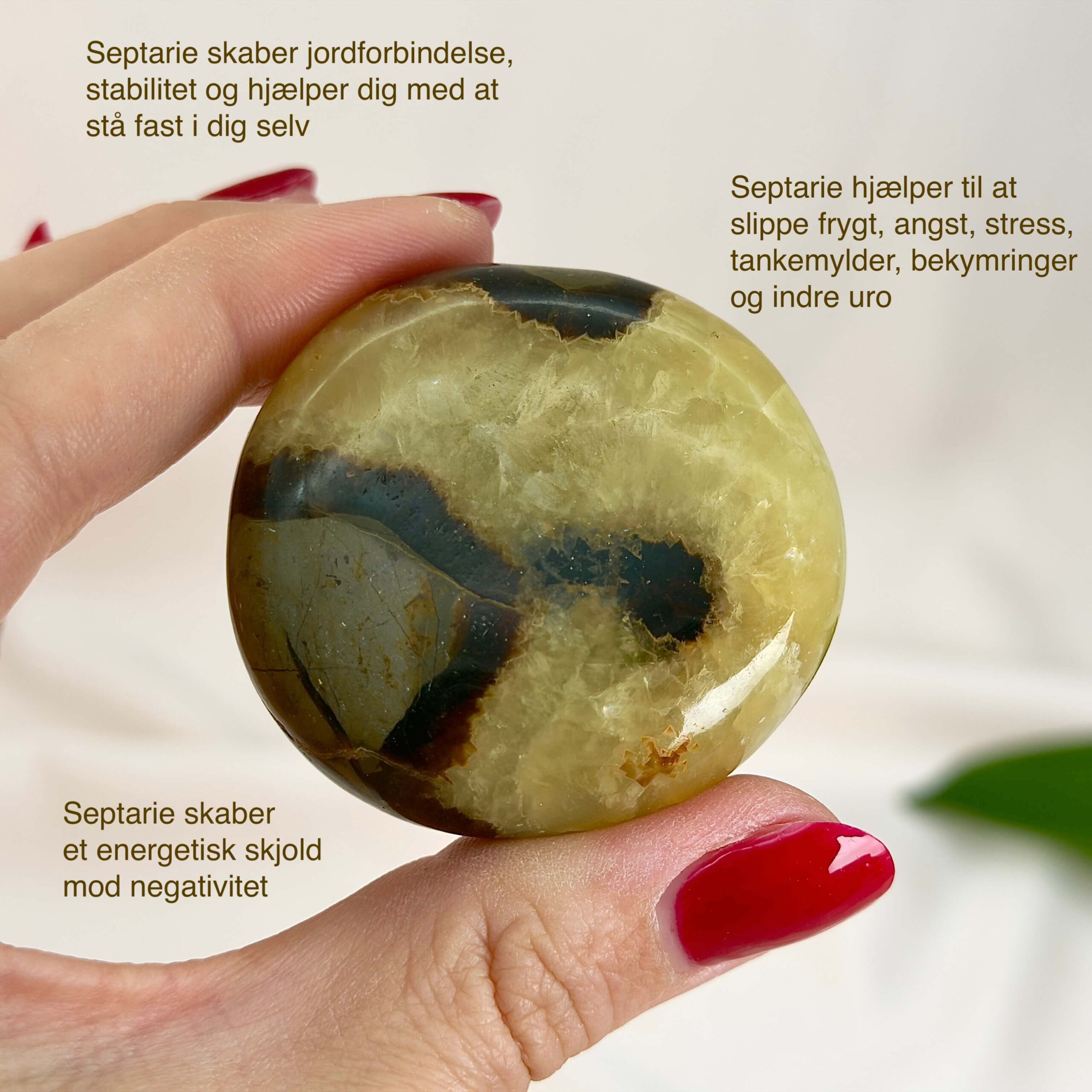 Septarie Håndsten Krystal Sten I hånd på hvid baggrund med tags