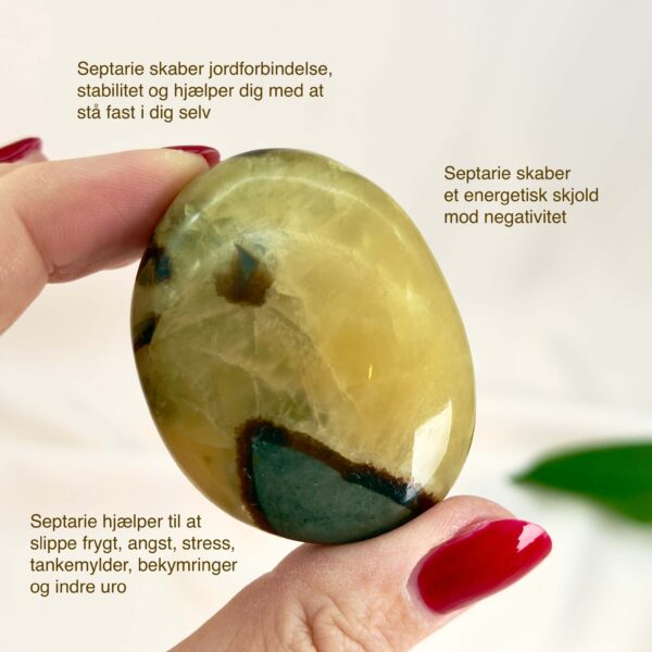 Septarie Håndsten Krystal Sten I hånd på hvid baggrund med tags