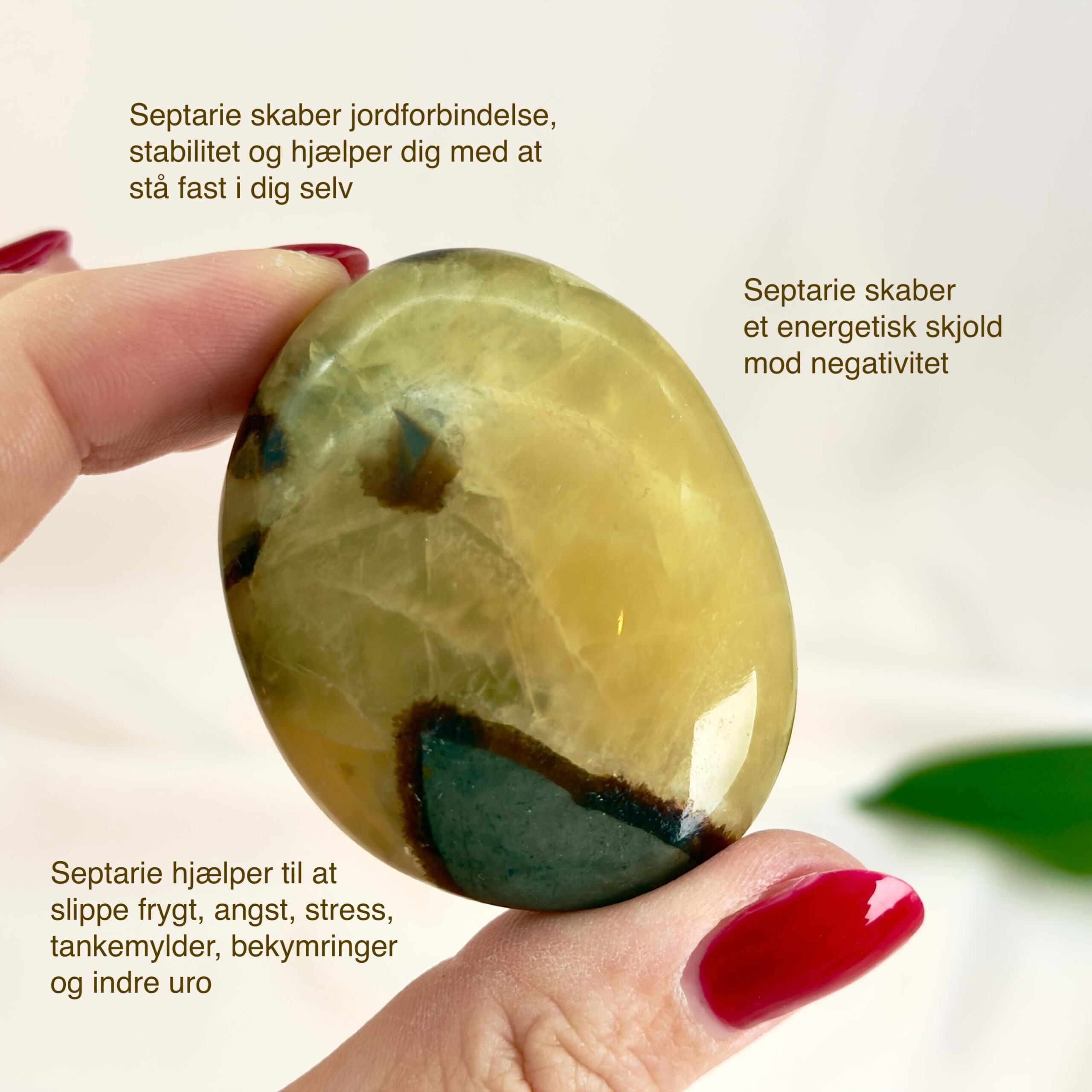 Septarie Håndsten Krystal Sten I hånd på hvid baggrund med tags