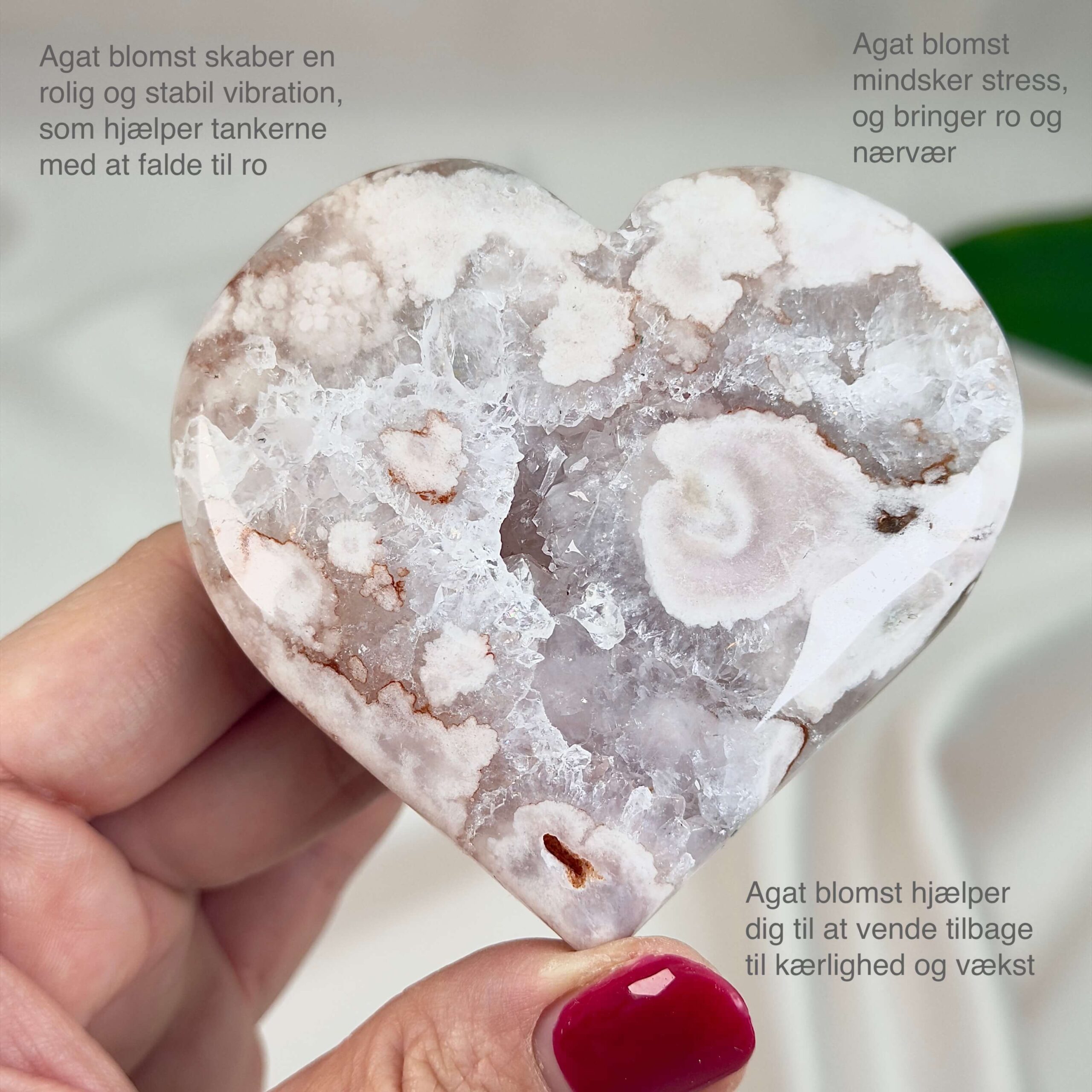 Agat Blomst Hjerte Krystal Sten i hånd på hvid baggrund med tags
