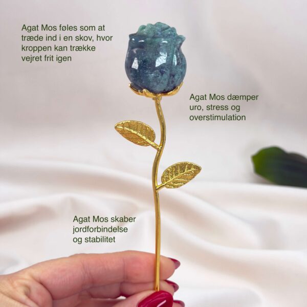 Agat Mos Rose krystal sten i hånd på hvid baggrund