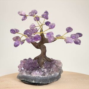 Ametyst Træ Krystal Sten på hvid baggrund
