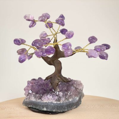 Ametyst Træ Krystal Sten på hvid baggrund