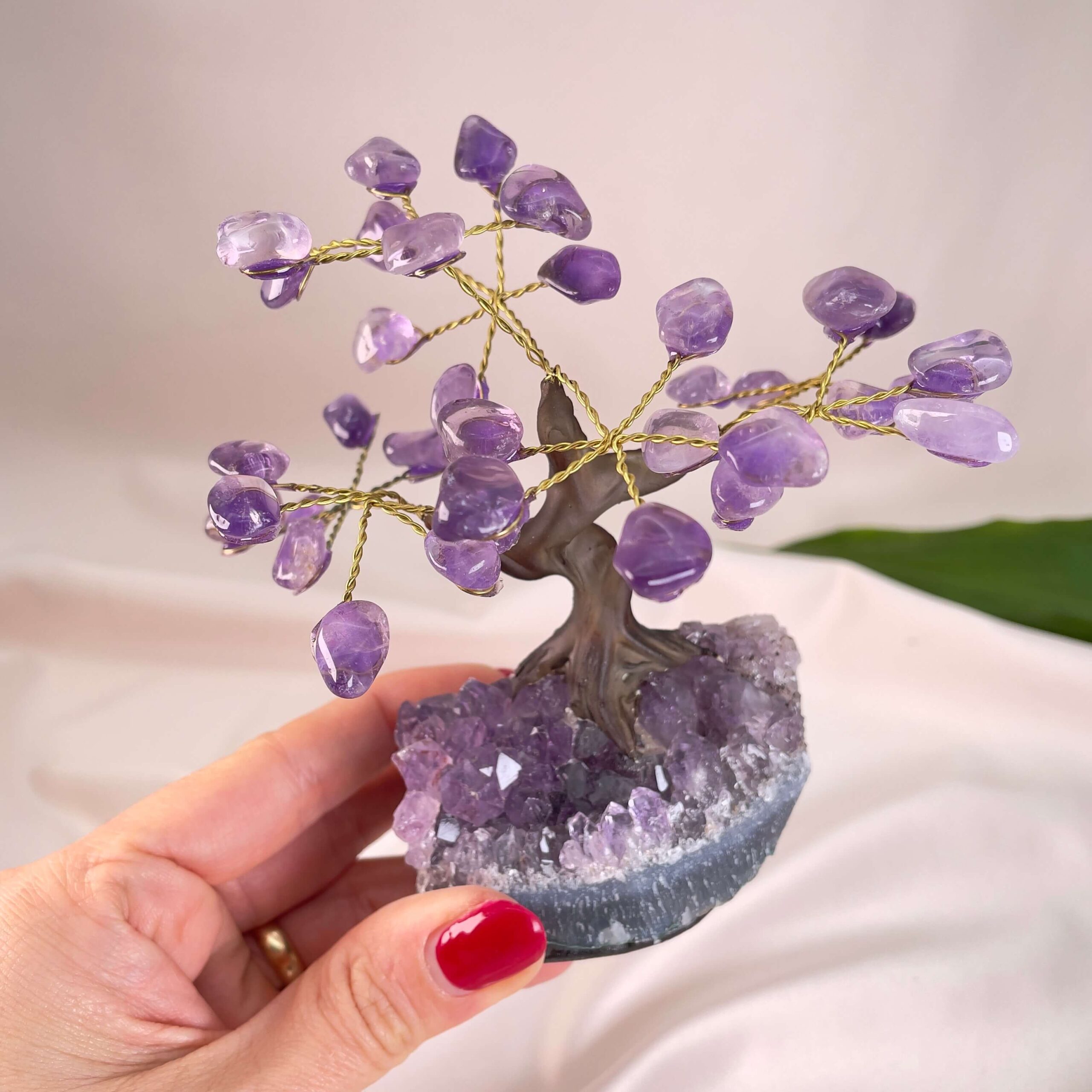 Ametyst Træ Krystal Sten i Hånd på rosa baggrund