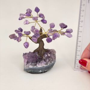 Ametyst Træ Krystal Sten med lineal på hvid baggrund