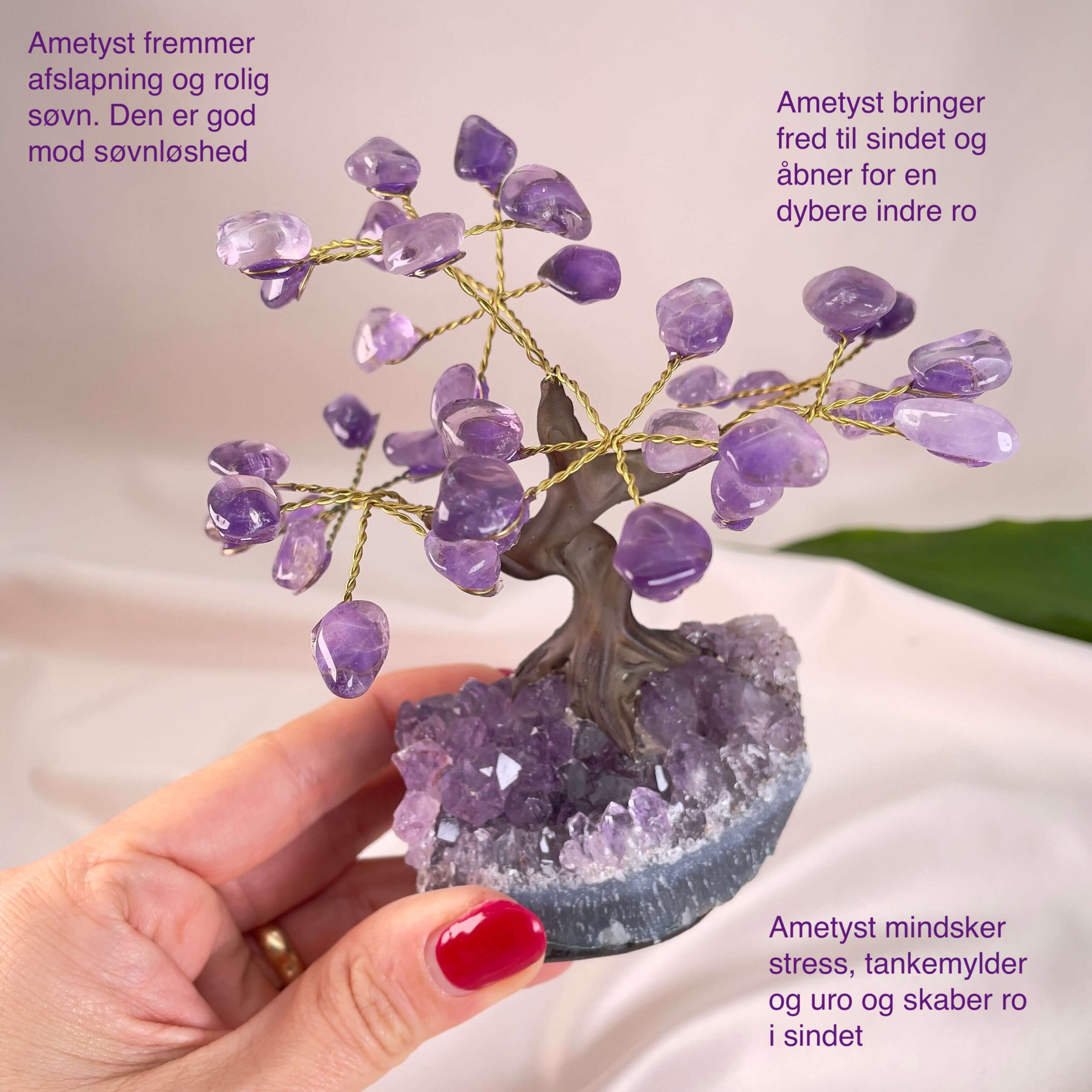 Ametyst Træ krystal sten i hånd på rosa baggrund med tags