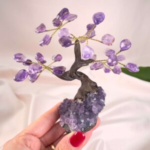 Ametyst Træ Krystal Sten i Hånd på rosa baggrund