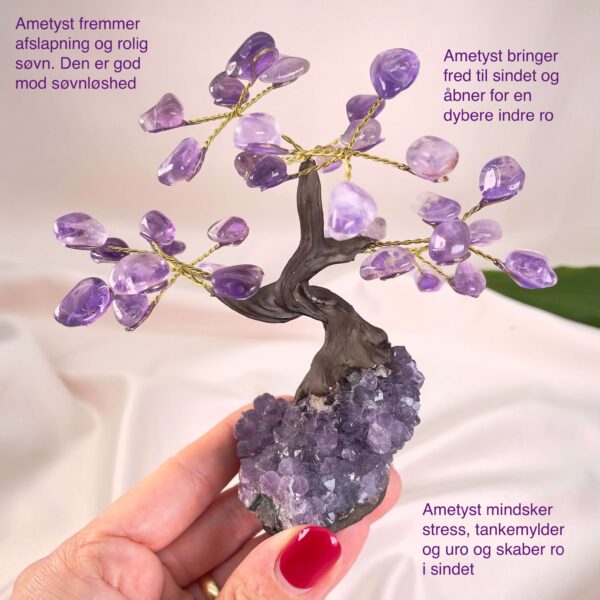 Ametyst Træ krystal sten i hånd på rosa baggrund med tags